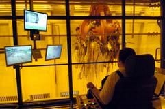Der Kranfahrer Günter Schulze transportiert im Februar 2005 in der Müllverbrennungsanlage in Magdeburg einen Greifer mit Müll zum Verbrennungsofen. (Foto: dpa)