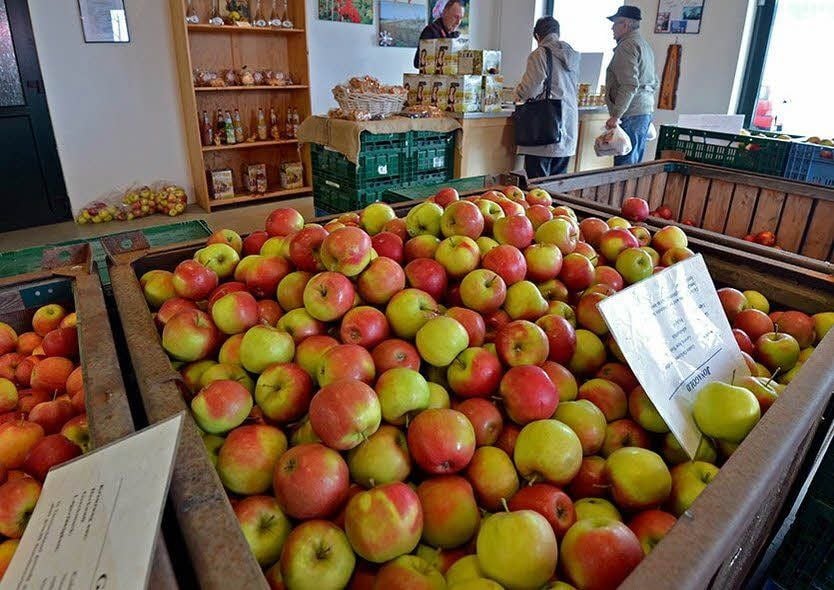 Seit 1992 gibt es bereits den Obstbau Jorde.