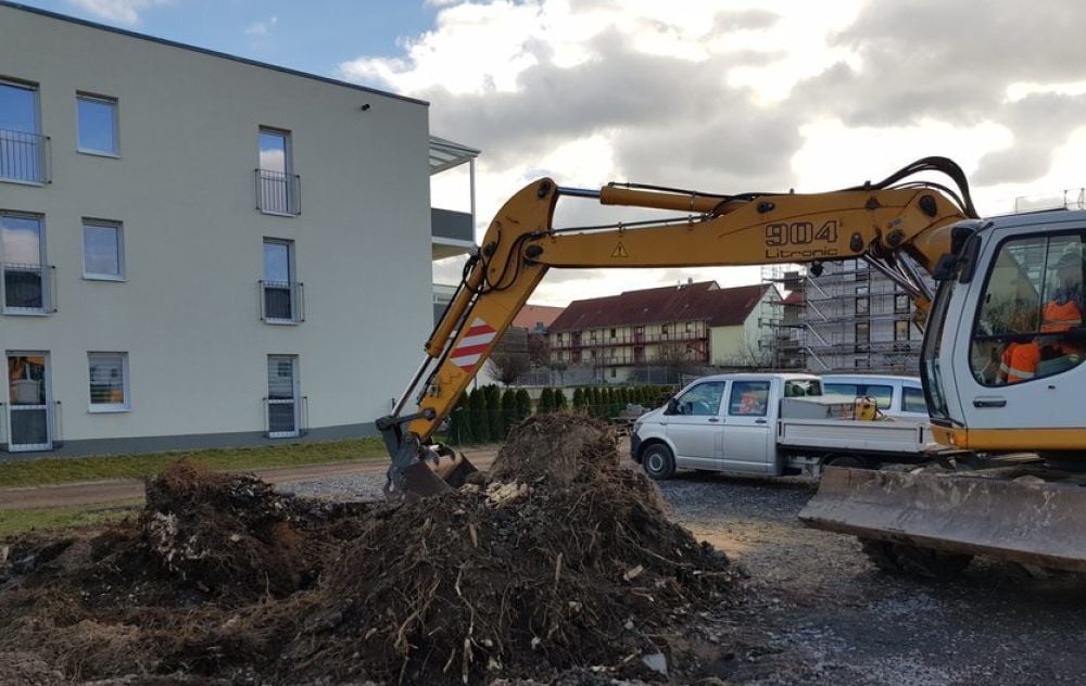 Sangerhausen: Ein Baggerfahrer beim Beseitigen der Baumwurzel.