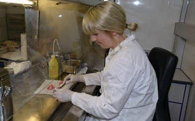Charlotte Wesch am Objektträger.