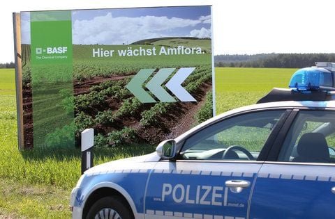 Unter Polizeischutz und mit einem Hinweisplakat wird am 19.04.2010 bei Bütow (Müritz-Kreis) die gentechnisch veränderte Kartoffel «Amflora» gepflanzt. (FOTO: ARCHIV/DPA)