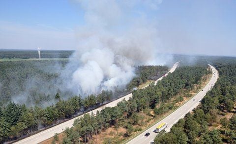 Ein Waldbrand ist am Mittwoch bei Harmelingen neben der Autobahn 7 zu sehen. (FOTO: DPA)
