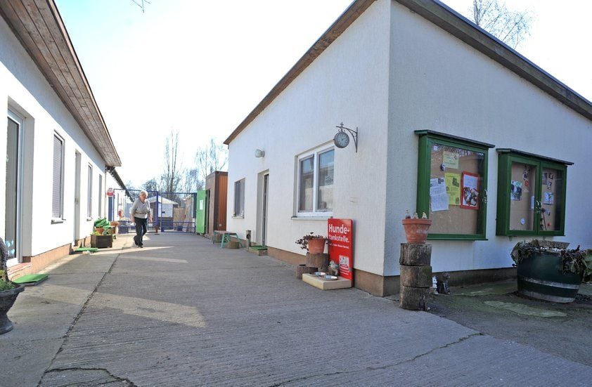Das Tierheim in Bitterfeld