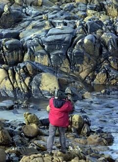 Ölpest an der spanischen Küste (Foto: dpa)