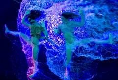 Mitwirkende der argentinischen Show «Fuerzabruta» zeigen in Berlin während einer Fotoprobe in einem Schwimmbecken über den Köpfen der Zuschauer eine artistische Darbietung. (Foto: dpa)