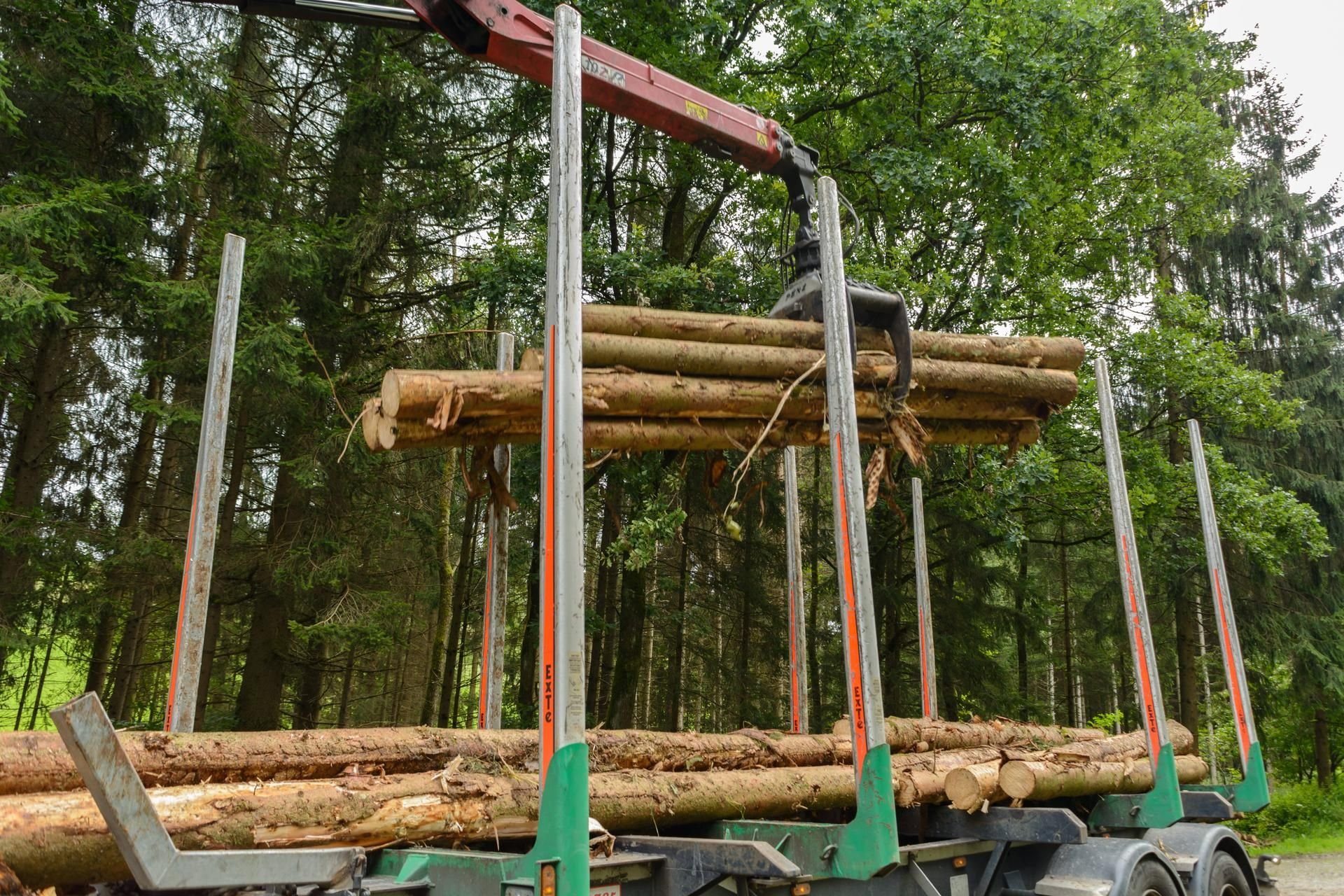 Mit einem Kran werden Baumstämme auf einen Holztransporter geladen.