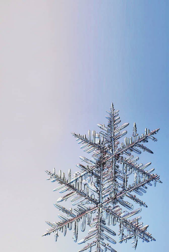 Extrem vergrößerter Schneekristall.