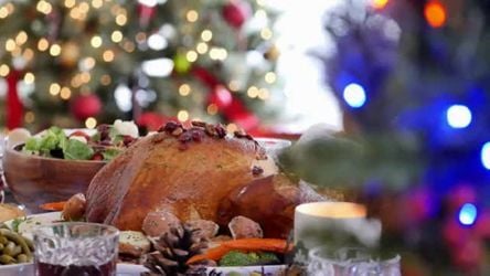 Weihnachtsgans