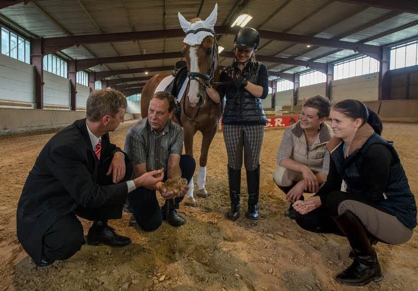 Henning Ziege, Geschäftstellelleiter der Harzsparkasse in Ermsleben, Vereinschef Gerd Kleimeyer, Stute Sunny Day mit Besitzerin Carolin Grub, Susanne Luzius und Jenny Barsch (alle vom Reitclub Reinstedt) begutachten den neuen Boden.