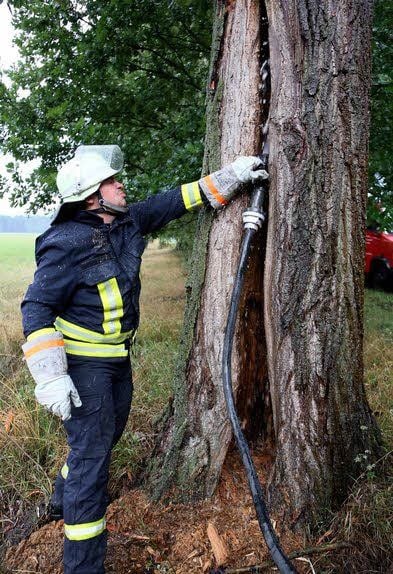 Mit dem Strahlrohr flutet ein Mügelner den Baum.
