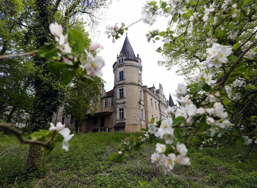 Wie es mit dem Schloss weitergeht, soll sich bei der nächsten Kreistagssitzung entscheiden.
