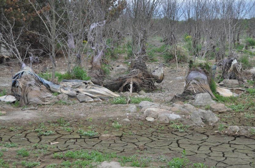 Trockener Schlamm und angeschwemmte Folie zeugen noch von der Flut.