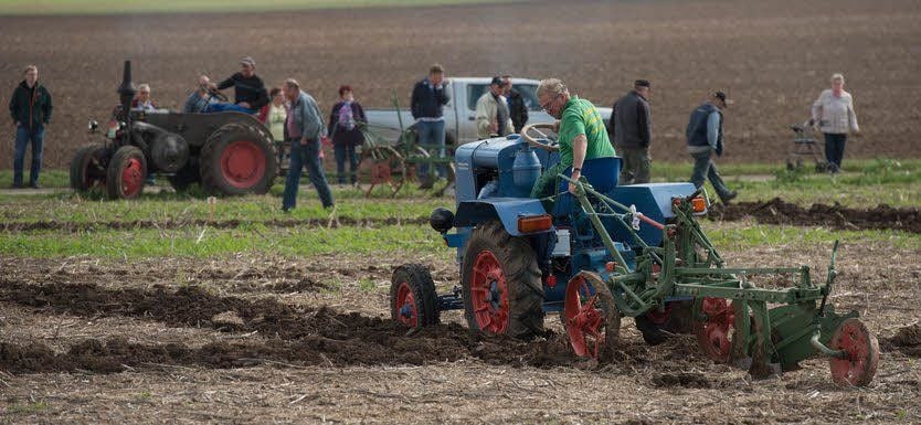Das Schaupflügen mit historischer Technik.