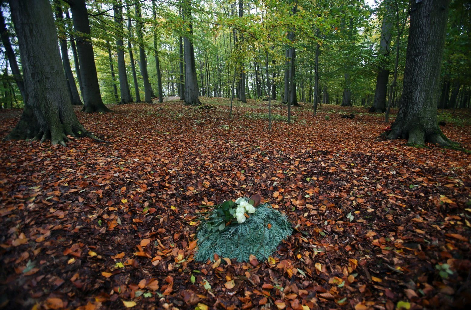 Als Alternative zu herkömmlichen Bestattungsarten wird vielerorts in Deutschland eine Beisetzung in der natürlichen Umgebung des Waldes angeboten.