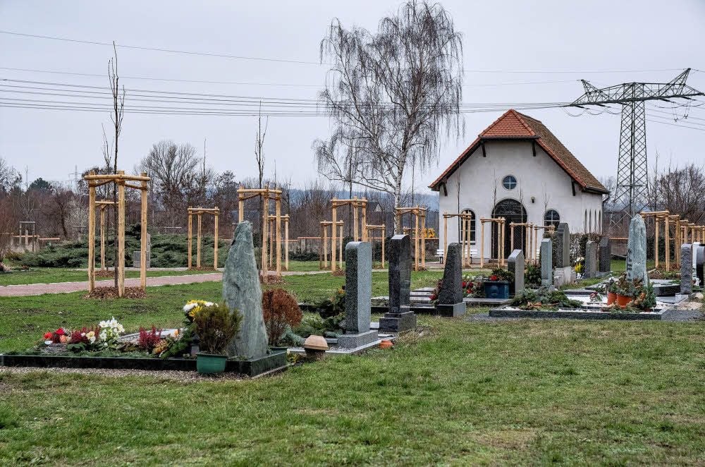 Die Allee, die zur Feierhalle führt, musste komplett mit neuen Bäumen bepflanzt werden.