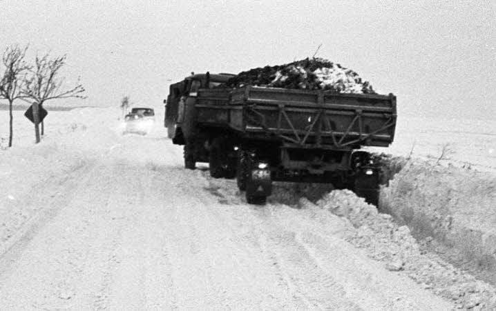 So wie hier auf einer Straße im Saalkreis sah es auch rund um Köthen aus.
