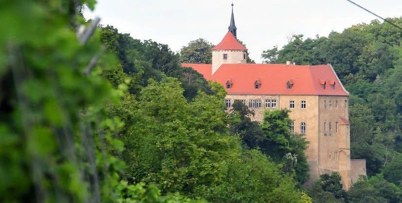 Schloss Goseck