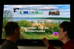 Sabine Kunze (r.) vom Informationszentrums «Haus am See» in Schlaitz (Dübener Heide) betrachtet mit einem Besucher Aufnahmen eines Fischadlerhorstes. (Foto: dpa)