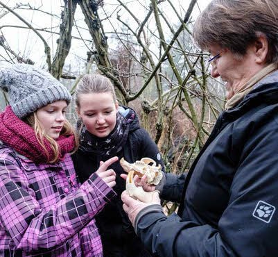 Iris Elz zeigt Pauline (li.) und Emily einen Biberschädel mit Zähnen.