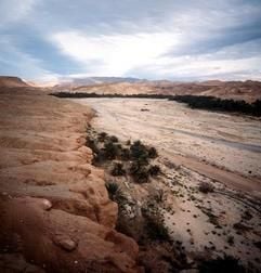 Das undatierte Foto zeigt einen Wasserlauf in der nördlichen algerischen Sahara. (Foto: dpa)