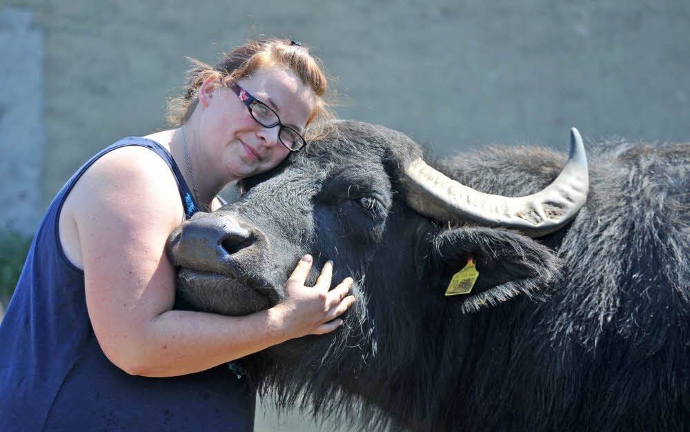 Landwirtin Kerstin Schulz liebt Wasserbüffel. Weil sie exotisch sind und sehr sanftmütig.
