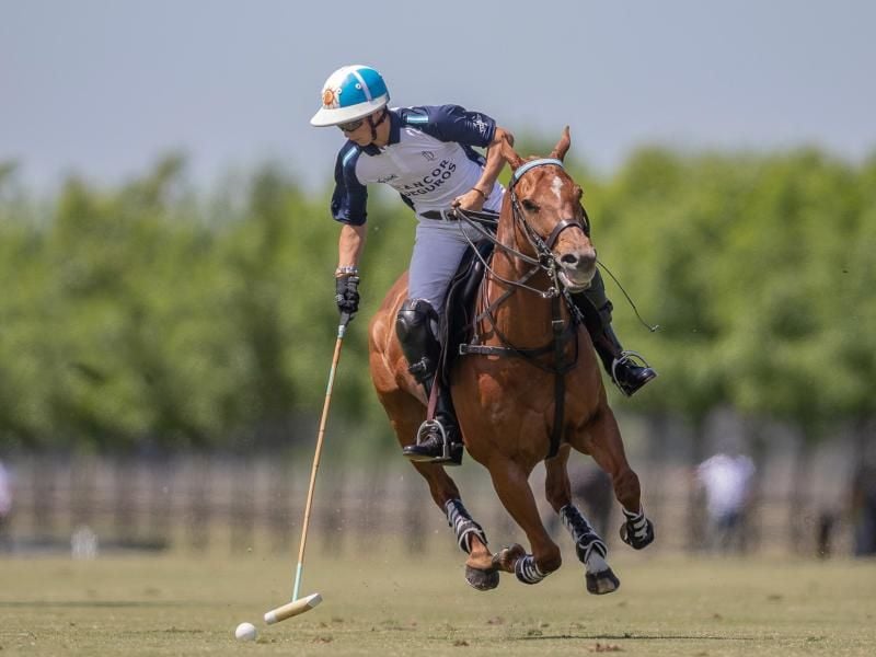 Hat beim wichtigsten Polo-Turnier der Welt sein Debüt gegeben: Adolfo Cambiaso VII von La Dolfina in Aktion. Foto: Matias Callejo/AAP/dpa