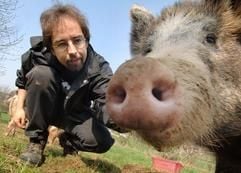 Sein Schwein Luise streichelt Jörg Kipka vom Verein «Schweinefreunde» in Heinsberg. Kipka hat eine Mission. Er will das schlechte Image des Schweins aufpolieren. (Foto: dpa)