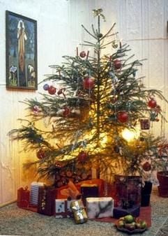 Weihnachtsbaum. (Foto: MZ-Archiv)