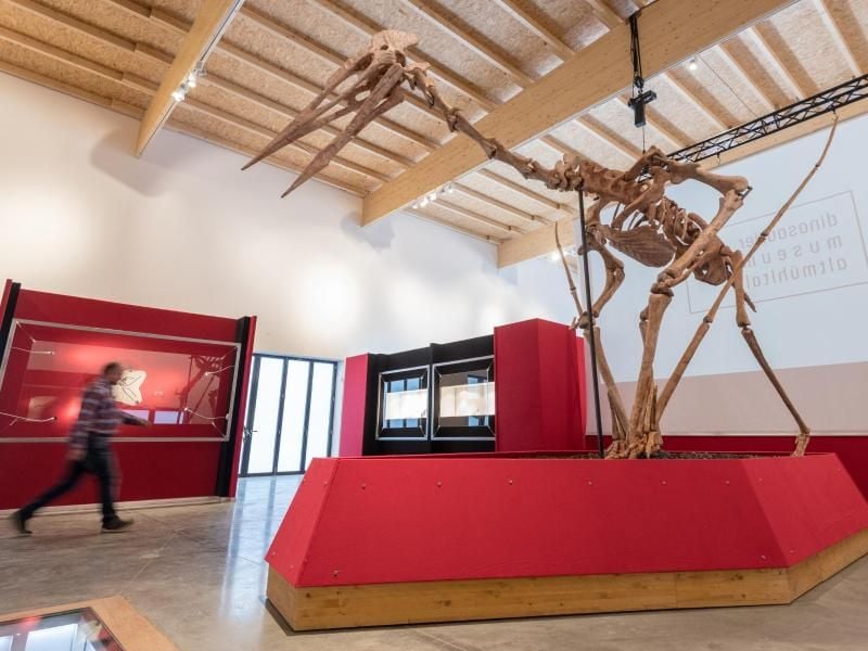 Der Flugsaurier hat zwölf Meter Spannweite. Foto: Armin Weigel