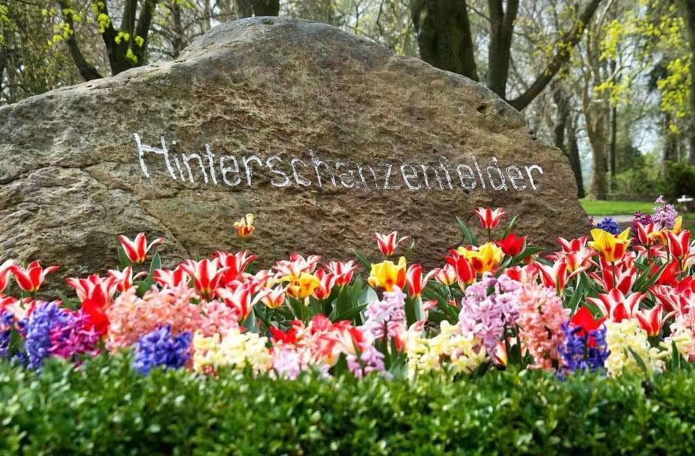 Frühjahrsblüher zieren den Gedenkstein im Kurpark.