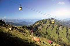 Ohne große Anstrengung fast bis zum Gipfel: Eine Kabinenbahn bringt Besucher von Oberstaufen auf den 1832 Meter hohen Hochgrat. (Foto: dpa)