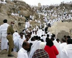 Ein Polizist überwacht tausende Pilgerer auf dem Weg zum Berg Arafat in Saudi Arabien. (Foto: dpa)