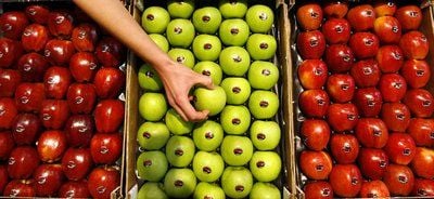 Äpfel liegen auf einer Messe in Kisten. (FOTO: DPA)