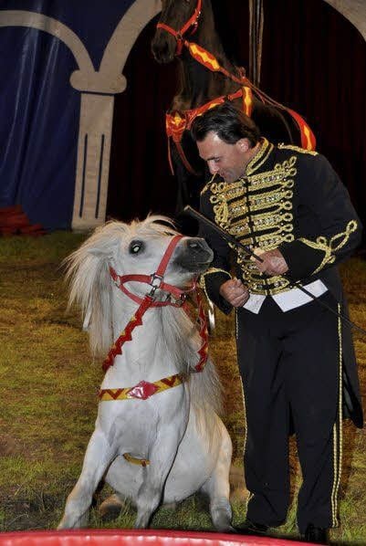 Eine Vorstellung im Circus Astoria.