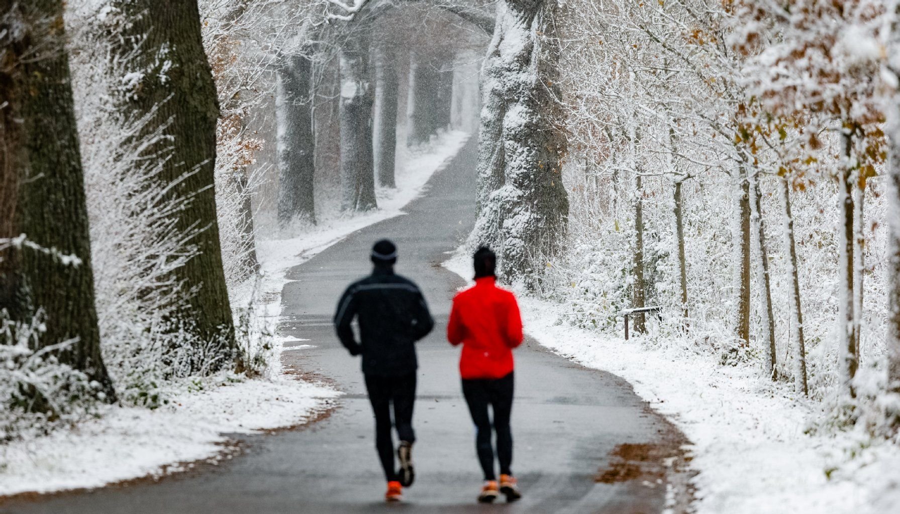 Joggen an der frischen Luft stärkt das Immunsystem und senkt das Erkältungsrisiko.