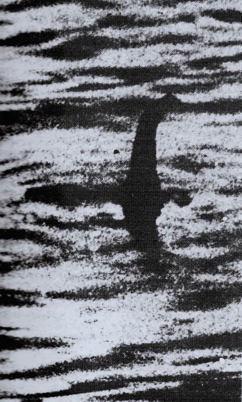 Sieht so Nessie aus? Scharfe Fotos des vermeintlichen Ungeheuers gibt es nicht. Die Abbildung stammt aus dem Buch „Die größten Geheimnisse der Welt“ von Nigel Blundell (1995).