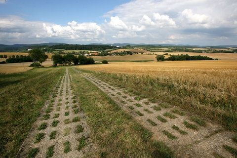 Nur noch der Kolonnenweg erinnert an die ehemalige innerdeutsche Grenze nahe Klettenberg bei Nordhausen.Das Grüne Band an der früheren innerdeutschen Grenze ist Deutschlands längster Biotopverbund und das Kernstück des Grünen Bandes Europa. (AARCHIVFOTO: DPA)
