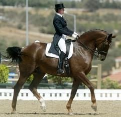 Dressurreiterin Ulla Salzgeber hat ihre ersteolympische Einzel-Goldmedaille verpasst. (Foto: dpa)