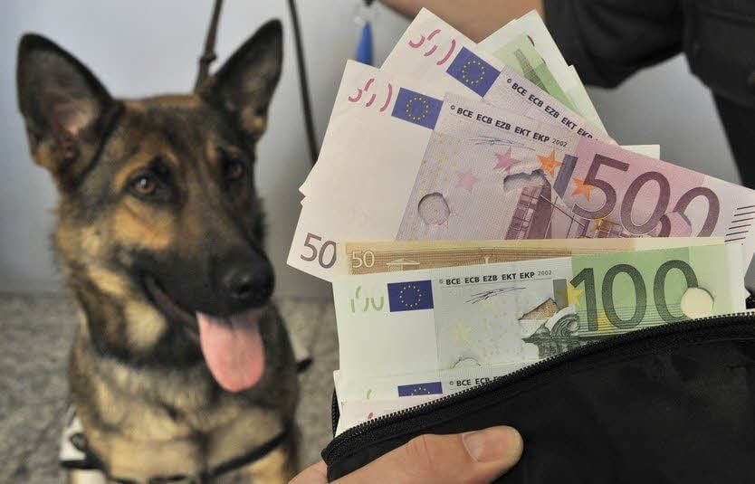 Hundesteuer