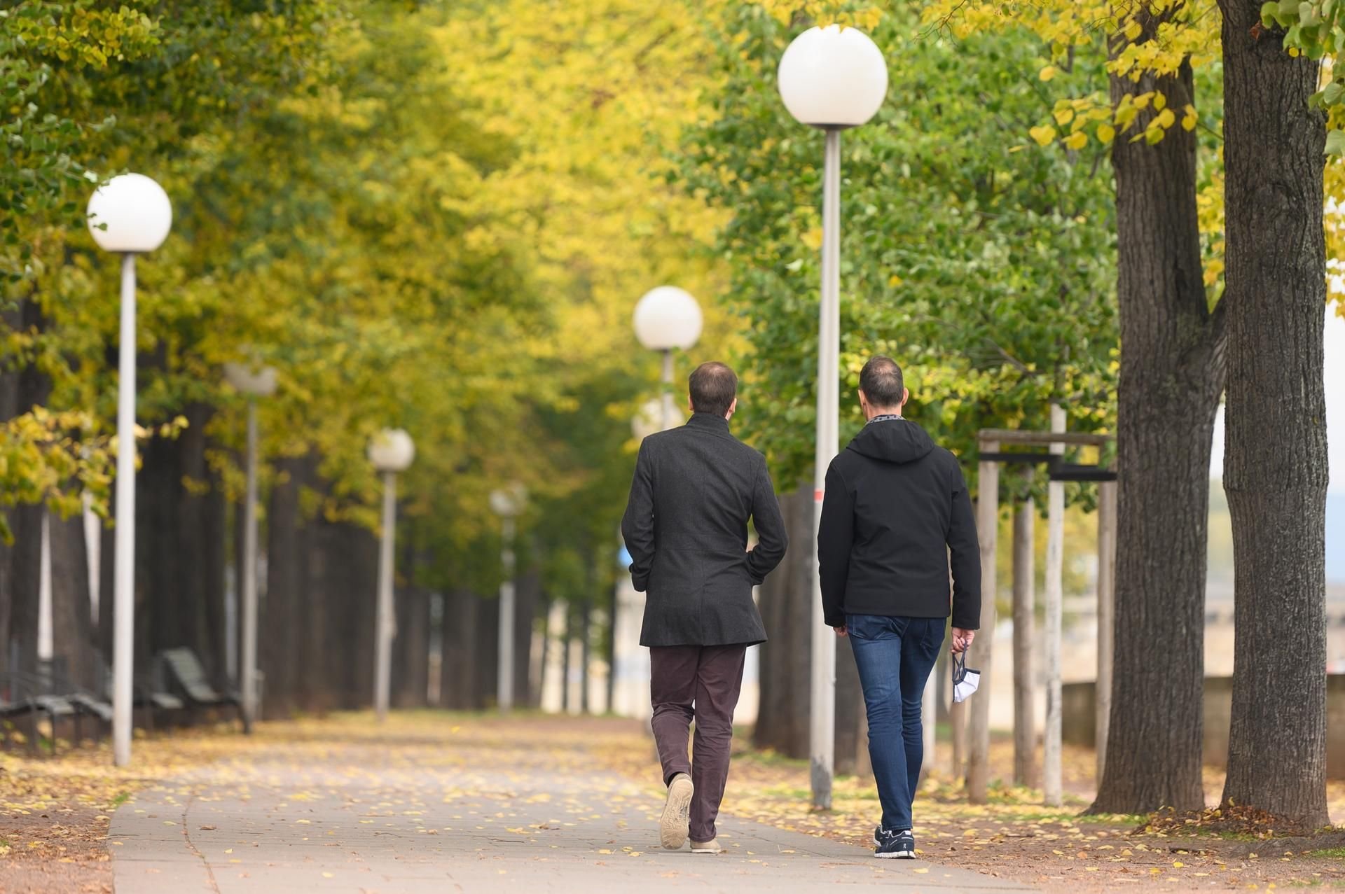 Derzeit zeigt sich der Herbst in Sachsen-Anhalt von seiner schönen Seite.