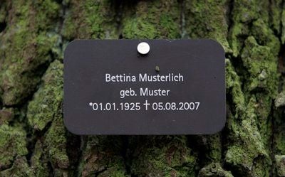 Ein Musterschild hängt im Biosphärenreservat in der Nähe von Dessau-Rosslau im ersten Friedwald von Sachsen-Anhalt an einer Eiche. (FOTO: DDP)