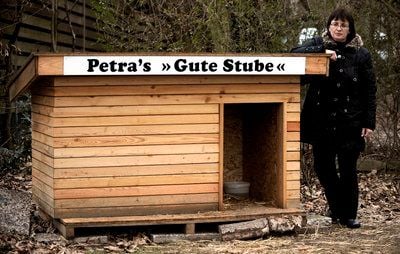 Rita Thieme vom Freundeskreis «Schwarze Petra» steht in Münster am Ufer des Aasees neben der verwaisten Unterkunft von Trauerschwan «Petra». (FOTO: DDP)