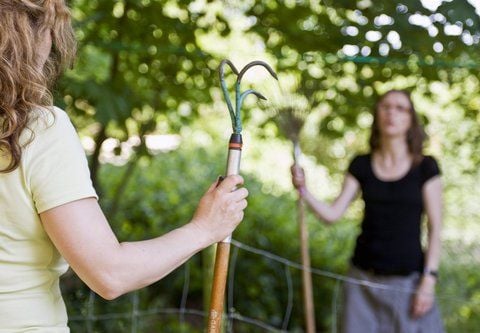 Wenn zwei sich wortlos gegenüberstehen, ist schon viel verloren - bei Streit am Gartenzaun hilft oft nur gegenseitiges Verständnis. Viele suchen allerdings auch Hilfe vor Gericht. (FOTO: DPA)