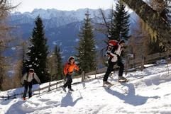 Aus eigener Kraft die Berge hinauf: Im Hochpustertal führen Skitouren bis in 2800 Meter Höhe. (Foto: dpa)