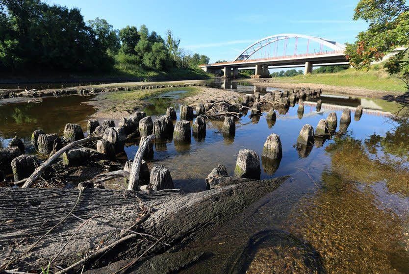 An der Mulde sind alte Gründungspfähle einer Brücke freigelegt worden.