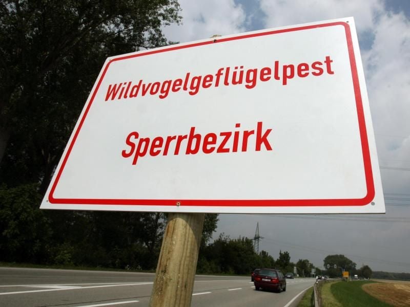 "Wildvogelgeflügelpest Sperrbezirk" steht auf einem Schild. Foto: Frank Leonhardt/dpa