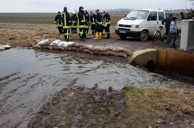 Havarie in Sauenzuchtanlage Braunsbedra: Gülle strömt aus. (FOTO: PETER WÖLK)