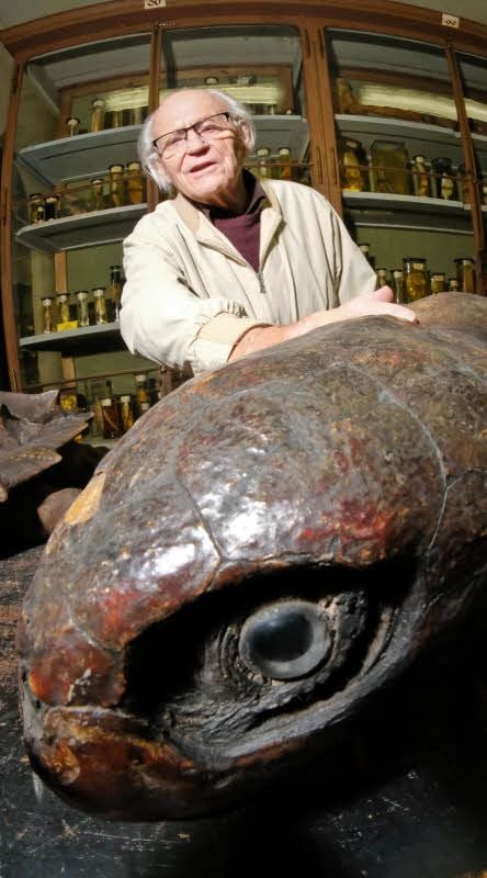 Ernst Wadewitz, 100 Jahre alter Teilnehmer einer Tagung in Halle, vor einer präparierten Schildkröte.
