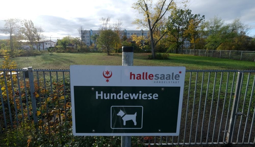 Die Hundewiese soll zu weniger Konflikten führen.
