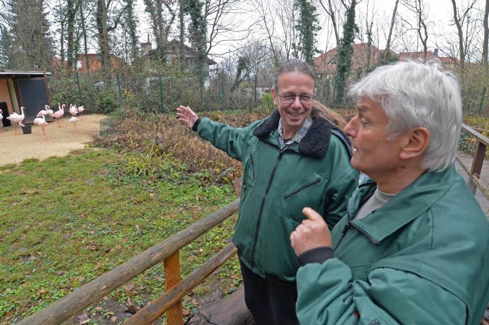 Der neue und der alte Zoo-Chef: Alexander Beck (links) und Dietmar Reisky fachsimpeln über die Flamingos im Zoo.